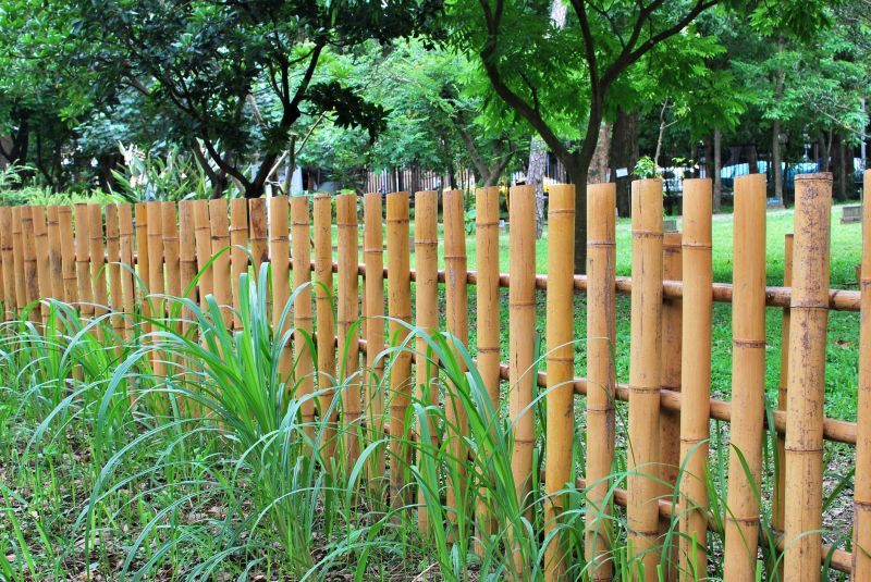 Bamboo Fences